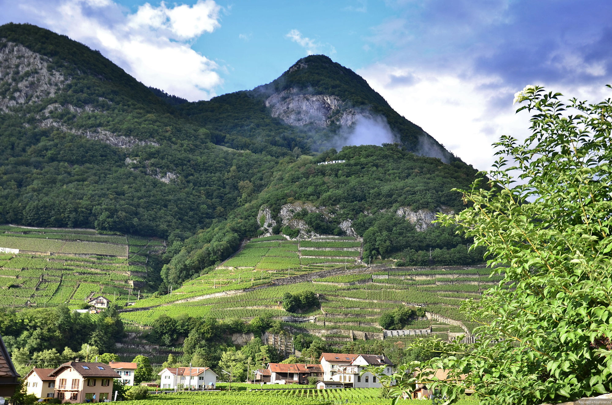 Aigle